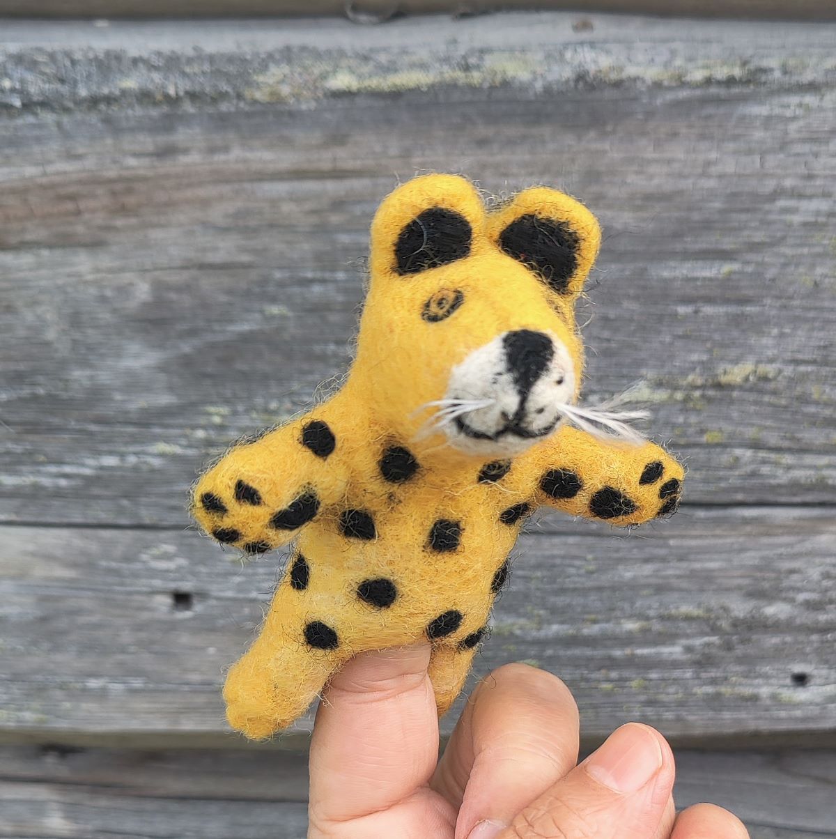 “Villieläimet” 7 sorminuken setti: leopardi