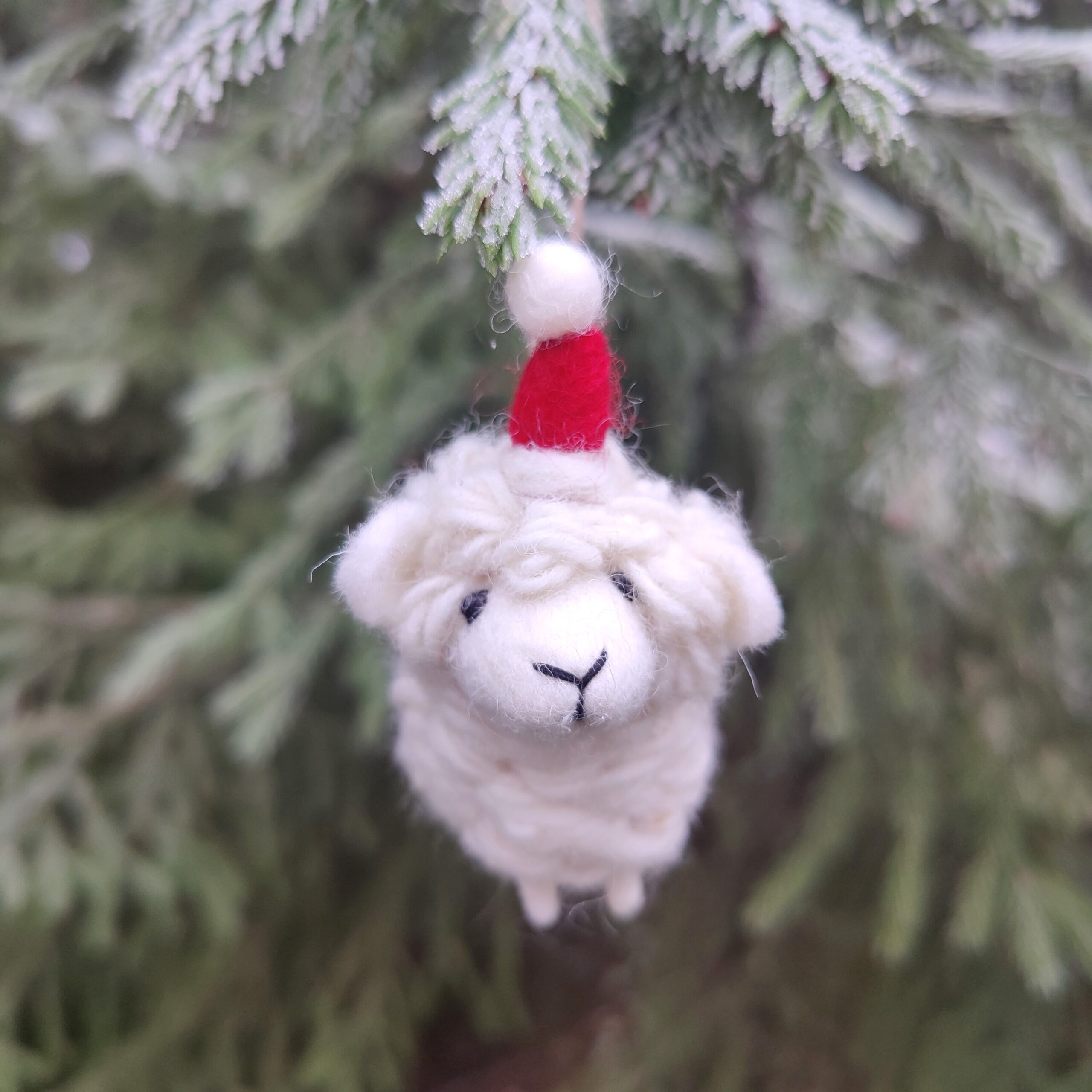 Babadum lammas huopakoriste